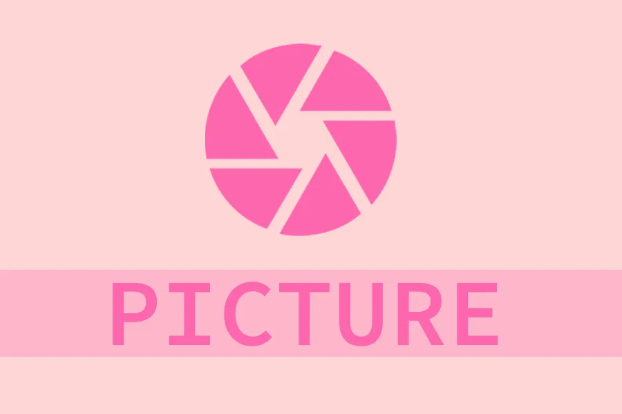 PICTURE
